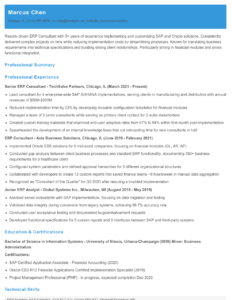 ERP Consultant Resume Examples - Erp Consultant Resume Example 232x300 